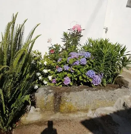 בית נופש Vivenda Mendes Outeiro (Vila Nova de Famalicao)