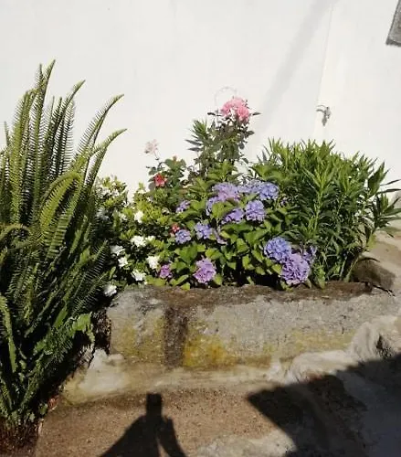 Vakantiehuis Vivenda Mendes Outeiro (Vila Nova de Famalicao)